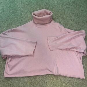 American Eagle Cropped Turtleneck Sweatshirt